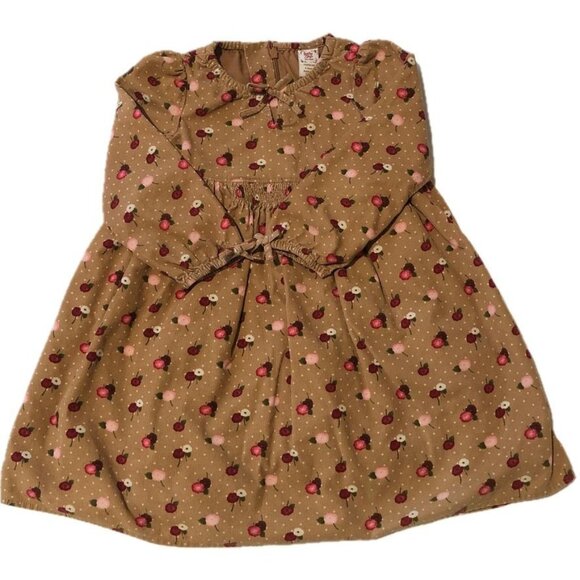 Baby Gap Other - Baby Gap Girls Corduroy Dress Brown Flowers White Polka Dots Size 4Y or 4T